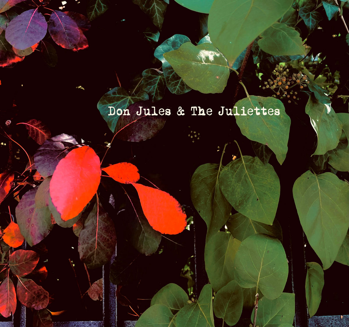 Don Jules & The Juliettes